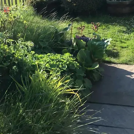 Tatil Evi Front Row With Sunset On Odden *